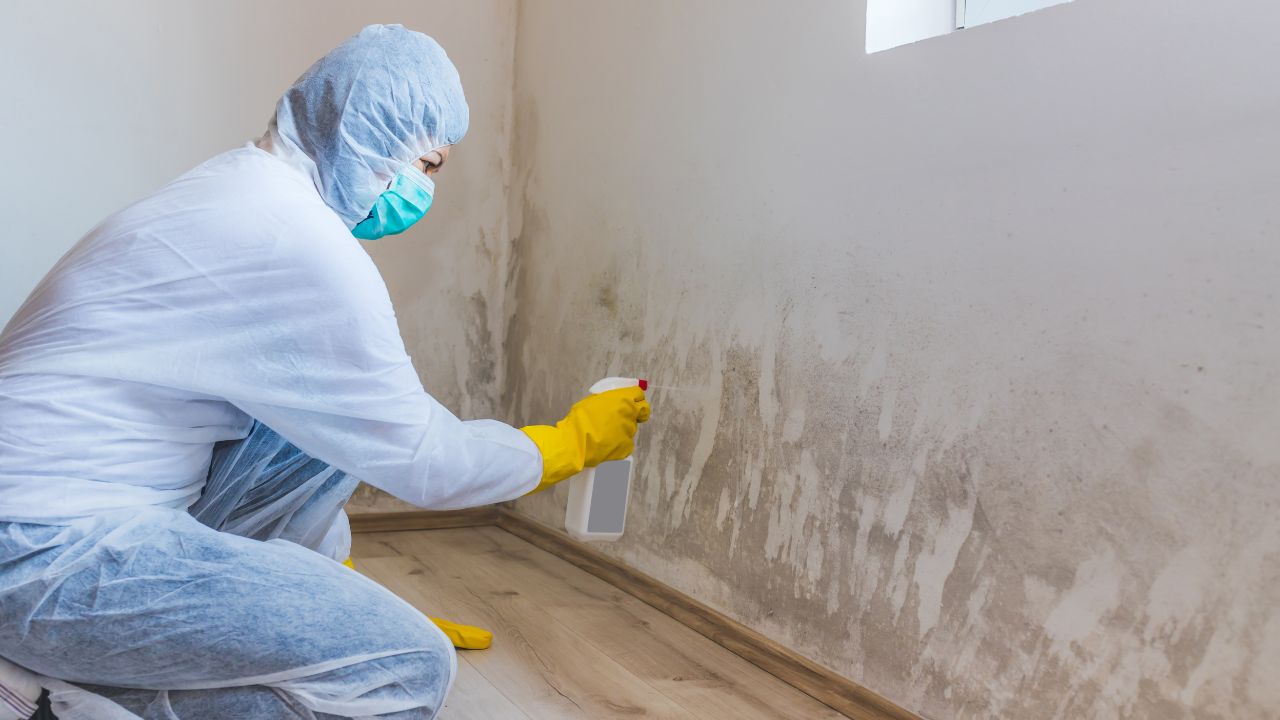 10 Warning Signs of Mold Toxicity (1)