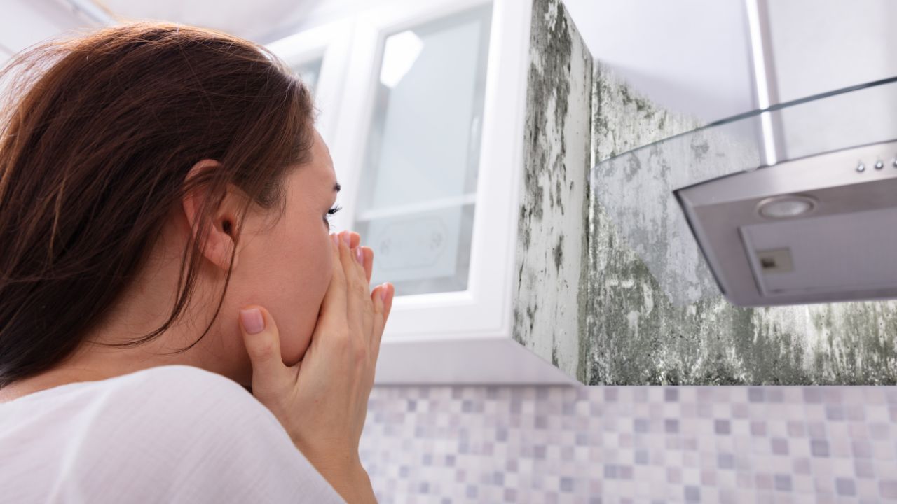 10 Warning Signs of Mold Toxicity (2)