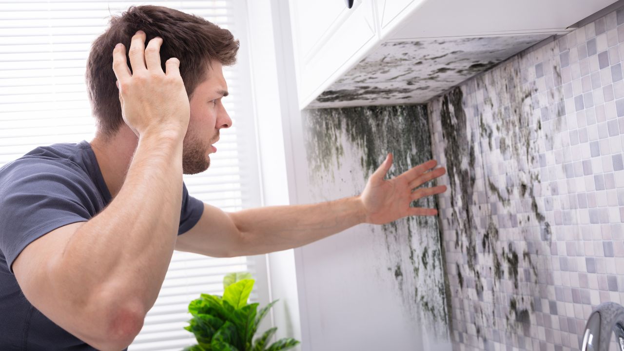 10 Warning Signs of Mold Toxicity (3)