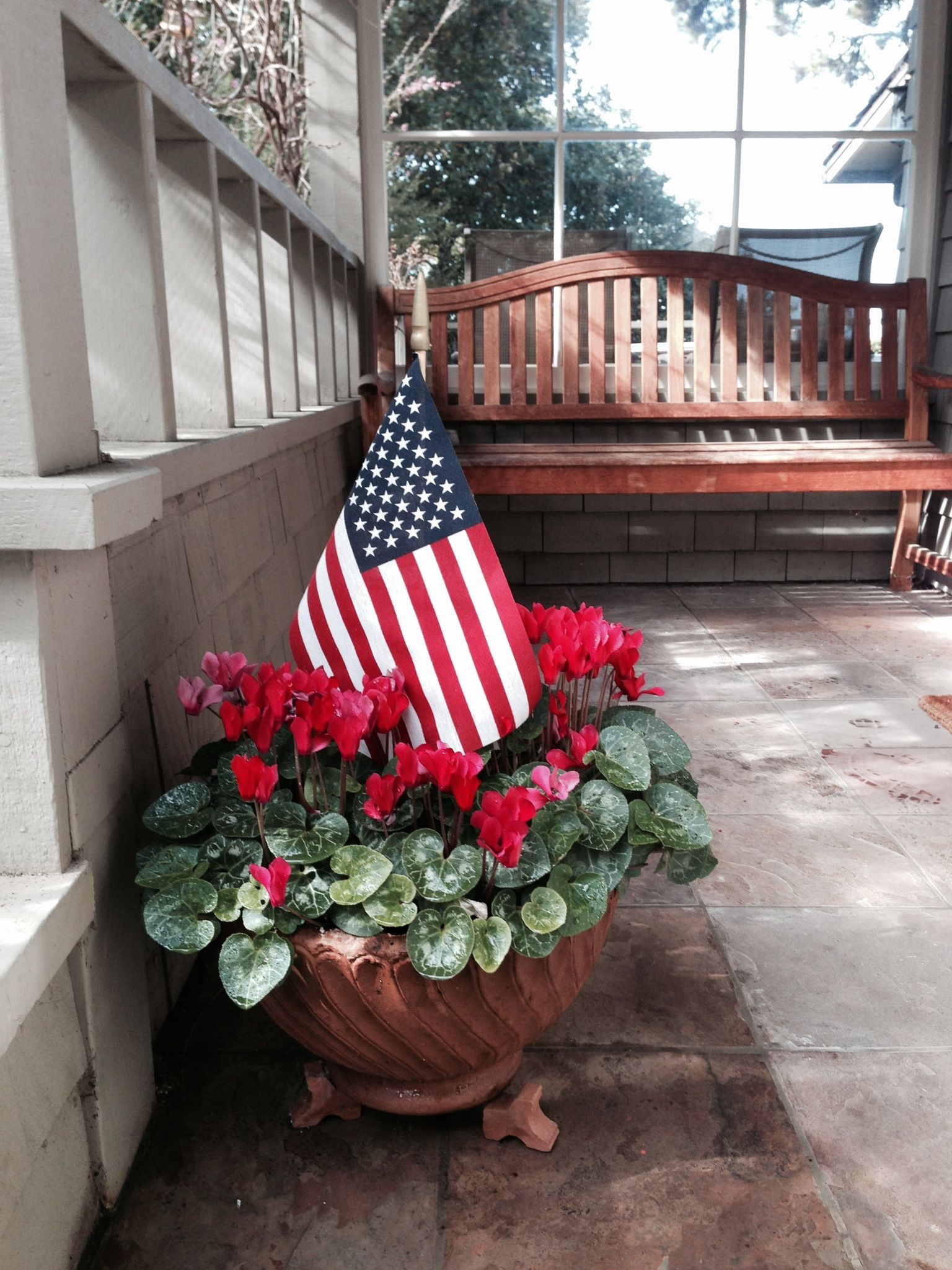 American flag plant decor